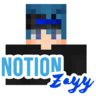 NotionZayy